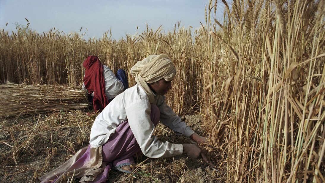 The Impact of the War in Ukraine on the Indian Economy Too